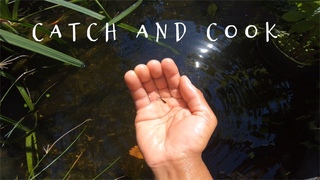 Fishing For Ornamental Fish In My  Wrong