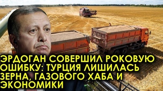 Две минуты назад! Эрдоган совершил роковую ошибку: Турция лишилась зерна, газового хаба и экономики