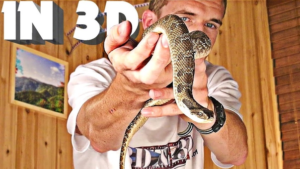 3 D Video extreme 4 (scary snake