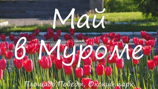 Май 2024 в Муроме, Площадь Победы, Окский парк, Набережная Оки, May 2024 in Murom, Victory Square