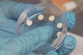 Smart label could one day let you know when to toss food and cosmetics - Headline Science