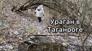 Зимний лес, взрывы и ураган в Тагвнроге