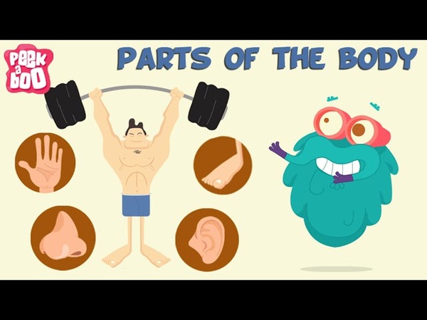 Parts Of The Body, The Dr. Binocs Show, Learn Videos For
