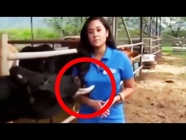 STRANGE INAPPROPRIATE MOMENTS CAUGHT
