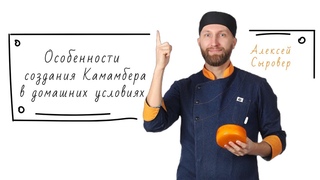 Особенности создания Камамбера в домашних условиях. Ответы на вопросы по сыроделию
