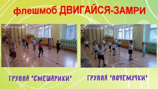флешмоб “Двигайся-замри“