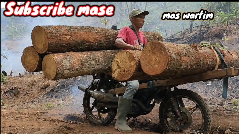 Kerja penuh resiko, ojek kayu motor Rx King Yamaha tenaga luar