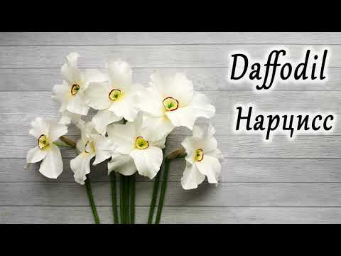 Нарцисс из бумаги , DIY paper