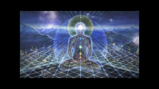 David Icke - We think we are Humans.