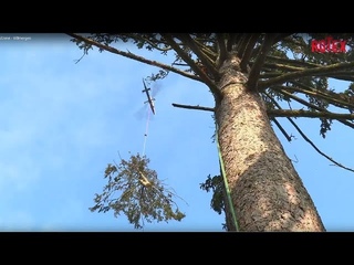 ROTEX Helicopter - Spezialholzerei - Villmergen