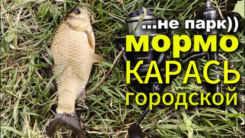 КАРАСЬ+РОТАН, мормышинг на ГОРОДСКИХ Прудах в Питере, nanojig,