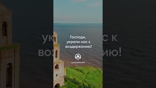 441 Господи, укрепи нас к воздержанию!  Иоанн Кронштадтский #Бог #душа #вера #молитва #сердце