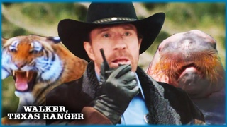 Zoo Chase | Walker, Texas Ranger
