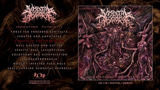 Visceral Disgorge (Baltimore)  - Strangled And Sodomized [Remastered] (Slam)