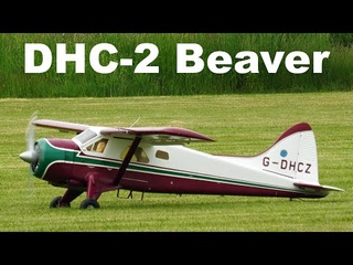DHC-2 Beaver | scale RC aircraft | 4K | Trebic 2021