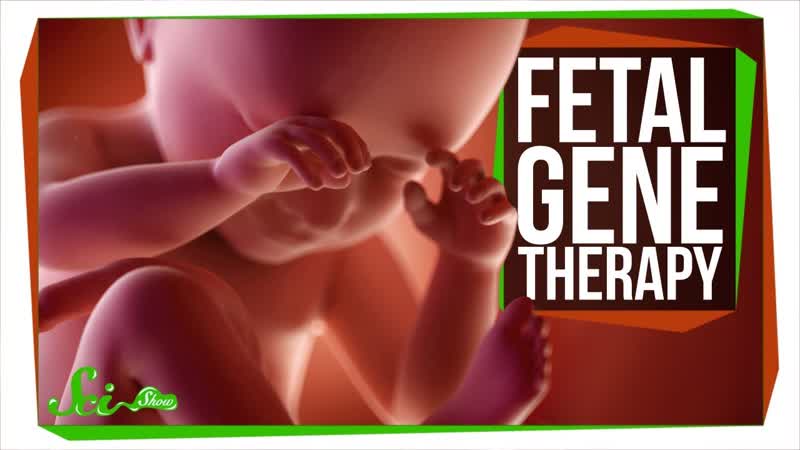 Are We Ready to Edit the Fetal