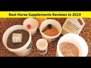 Top 3 Best Horse Supplements Reviews In 2019