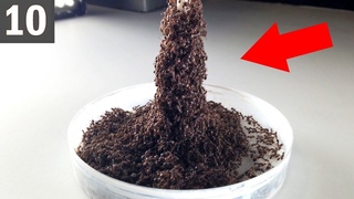10 UNBELIEVABLE Ant Buildings
