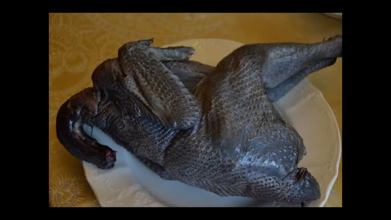 Дегустация курицы китайской породы Ухэй илюй. Хозяйство