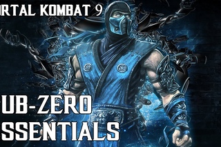 Mortal Kombat 9 - Sub-Zero Essentials