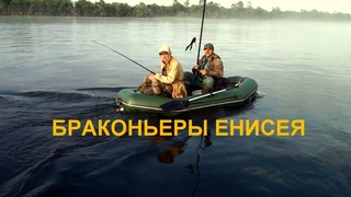 Запрет на Енисее а браконьеров полно.