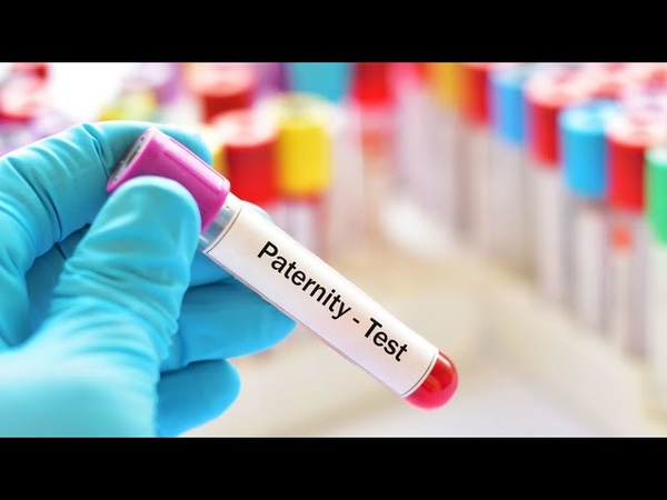 Paternity