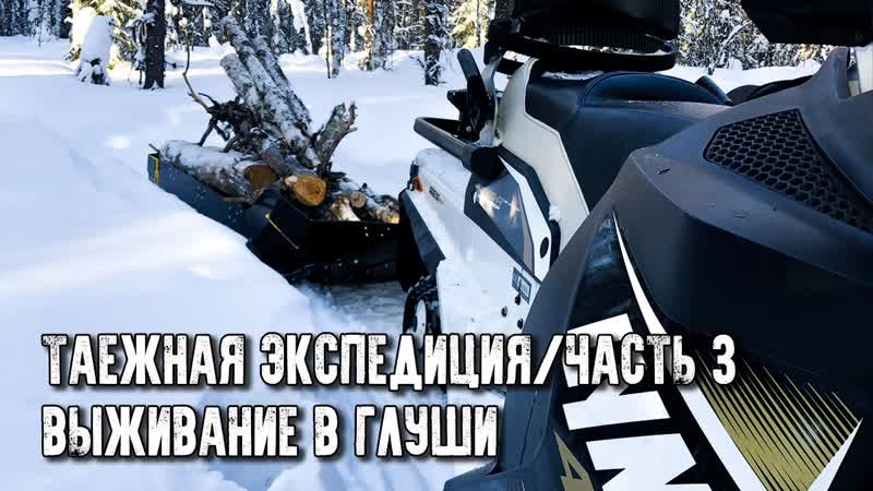 Таёжная экспедиция, Выживание в глуши, Мороз