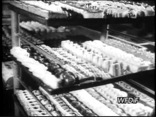 PKF 1949 02