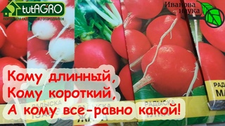 ЭТИ СЕМЕНА СЕЙТЕ КОГДА ХОТИТЕ! Выбираем сорта для надежного урожая без лишних усилий