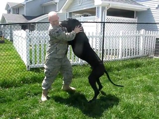 Emmitt Thunderpaws Welcomes Home His Military Dad!