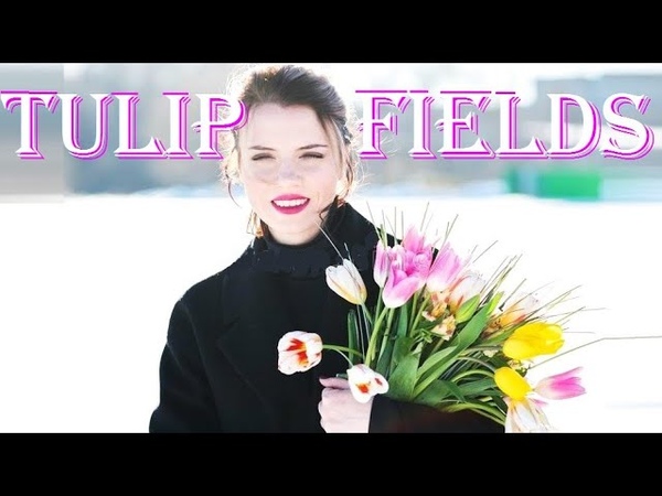 Dutch Tulip Fields in Winter. Голландские Тюльпановые Поля Зимой. Cute Mills.