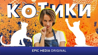 КОТИКИ - Серия 1 / Мелодрама