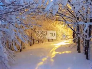ТНТ-Поиск: Новогоднее украшение города