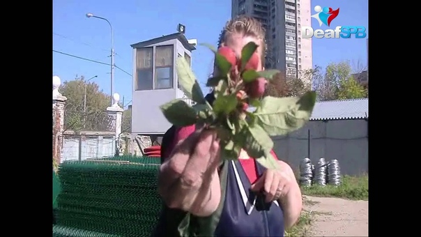Ответ от