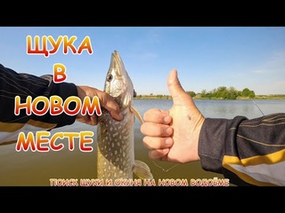 Поиск щуки на реке. Отлично половил окуня и щуку!