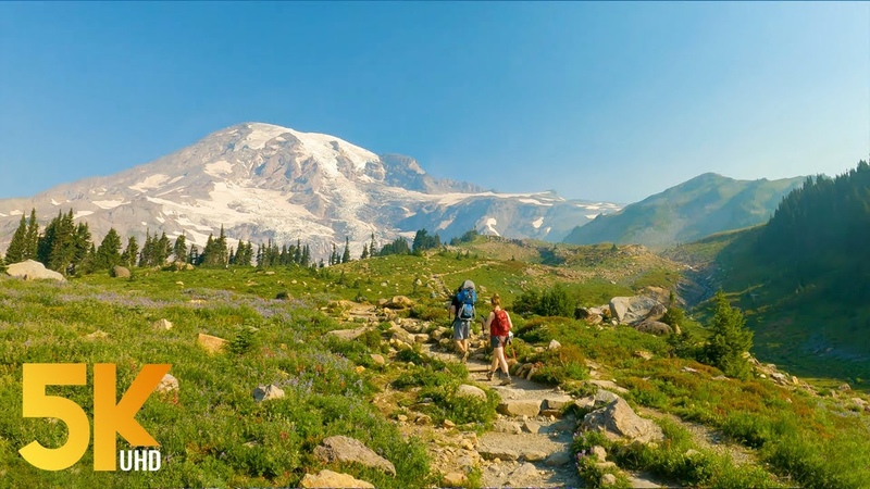 Sunny Day Virtual Walk to Panorama Point, Mount Rainier 5 K Hike with Mountain Views (2