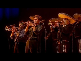 Calexico | El Picador feat. Mariachi Luz de Luna
