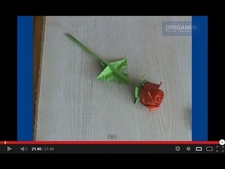 Роза