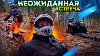 Неожиданная встреча в лесу / Отличный лесной прохват на квадроциклах