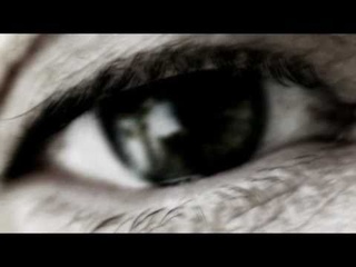 a word in your ear |The song of lunch|