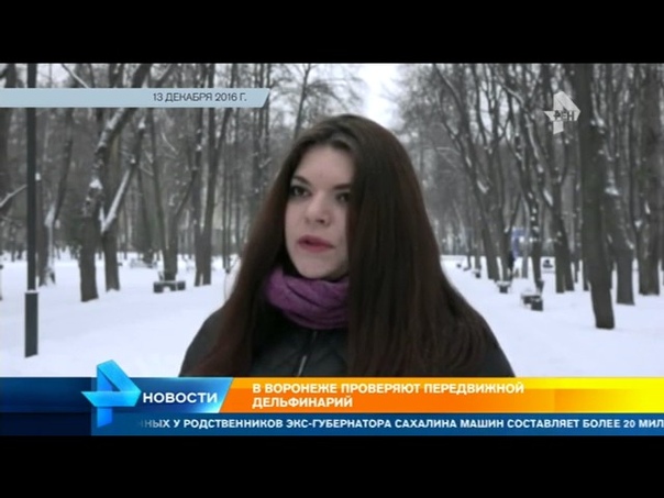 Веган в Кремле. У защитницы животных Памелы Андерсон