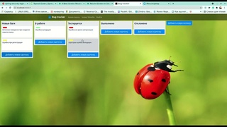 ВКР 2021. Фрагмент  разработки системы отслеживания ошибок (бактрекинговой системы)