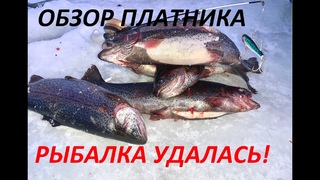 ОБЗОР ПЛАТНИКА. УДАЧНАЯ РЫБАЛКА.