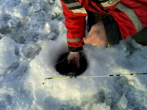 Ice fishing Zander in Sweden by Cory from Team Fish
