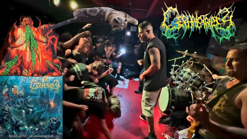 CEPHALOTRIPSY Album Release Show 2024 HD live concert full set University of California at San