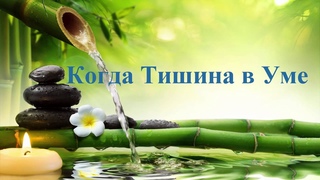 А.В.Клюев - Спонтанность - Сила - ТИШИНА в ГОЛОВЕ - Путешествие Сознания книга (26/44)