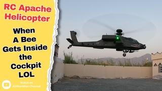 Yuxiang F11 RC Apache Helicopter Yard Flight  Bees in the Cockpit! LOL