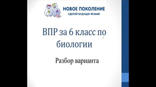 Биология. Разбор варианта ВПР по биологии 6 класс